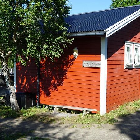 Camp Saltstraumen-Elvegard Otel Bodø Dış mekan fotoğraf