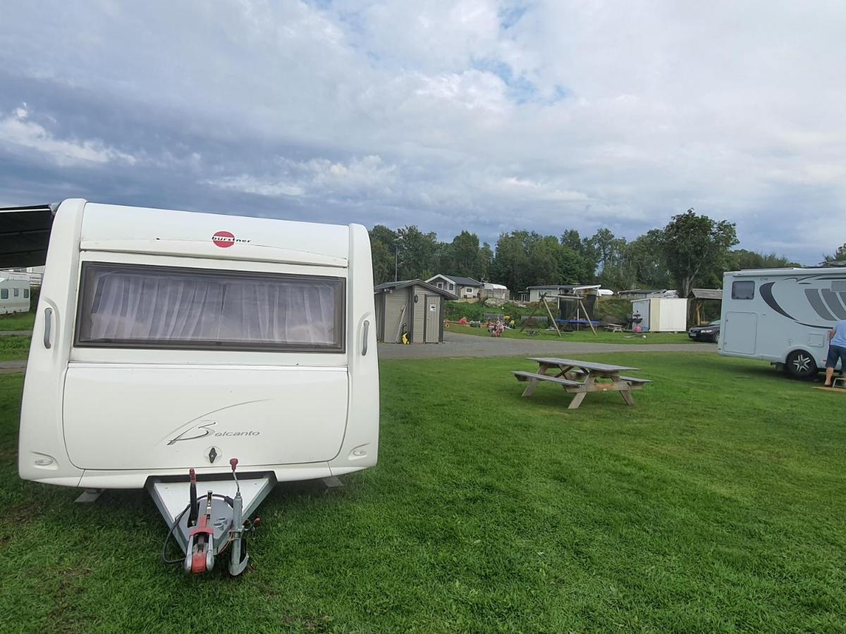 Camp Saltstraumen-Elvegard Otel Bodø Dış mekan fotoğraf