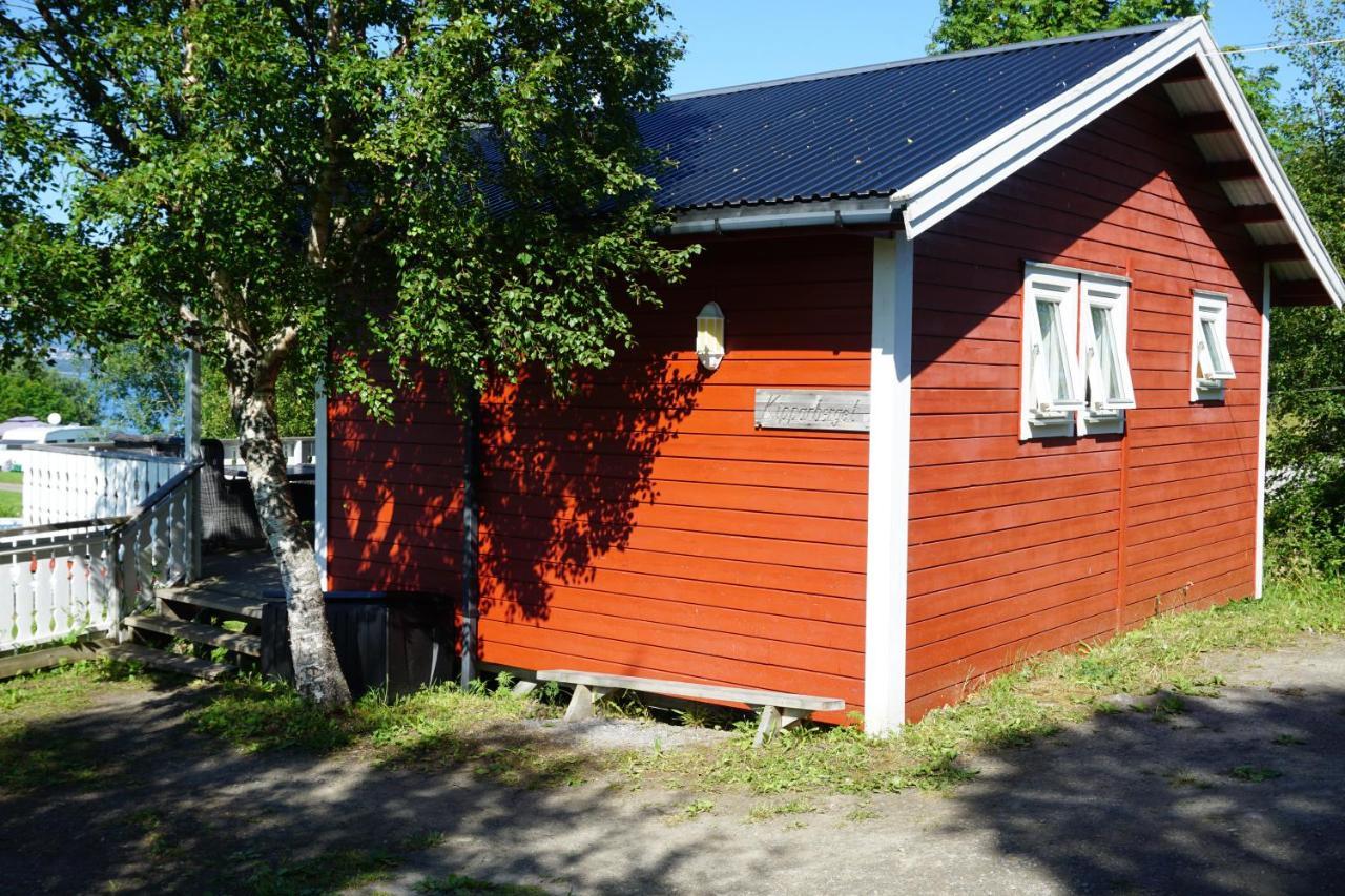Camp Saltstraumen-Elvegard Otel Bodø Dış mekan fotoğraf