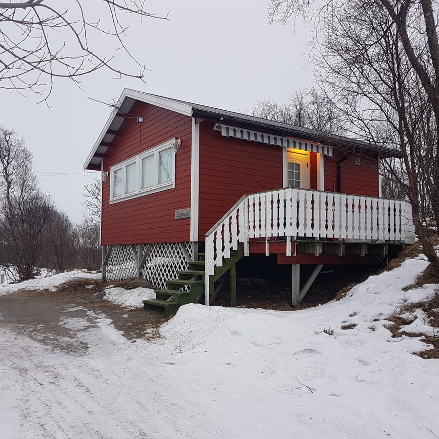 Camp Saltstraumen-Elvegard Otel Bodø Dış mekan fotoğraf