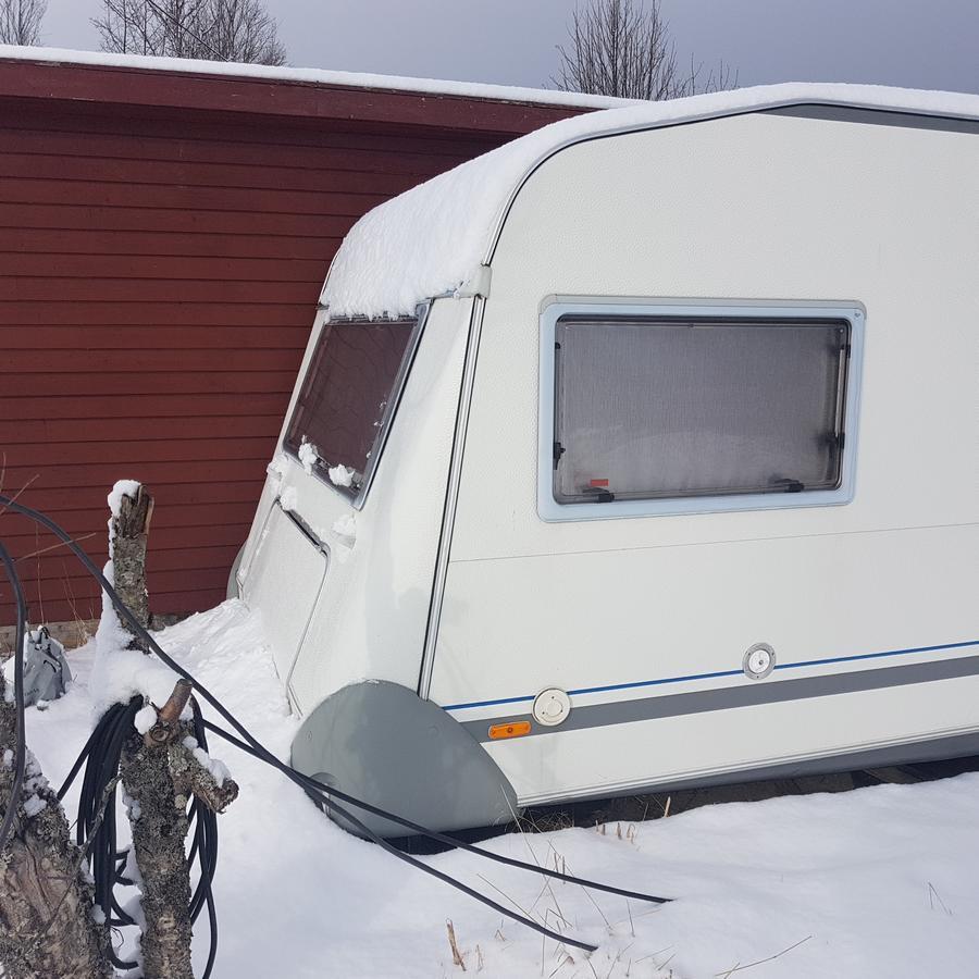 Camp Saltstraumen-Elvegard Otel Bodø Dış mekan fotoğraf