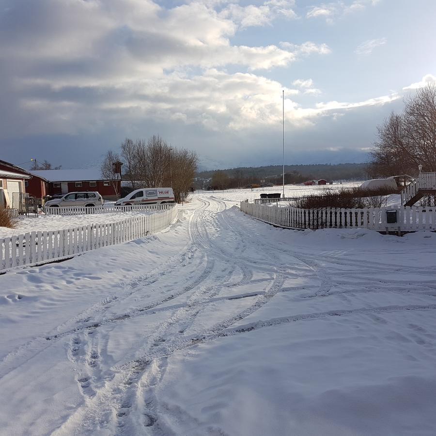 Camp Saltstraumen-Elvegard Otel Bodø Dış mekan fotoğraf