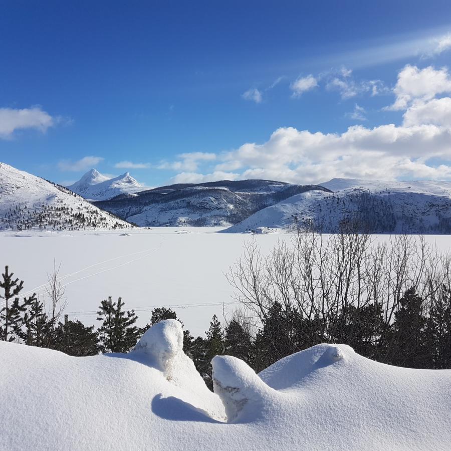 Camp Saltstraumen-Elvegard Otel Bodø Dış mekan fotoğraf