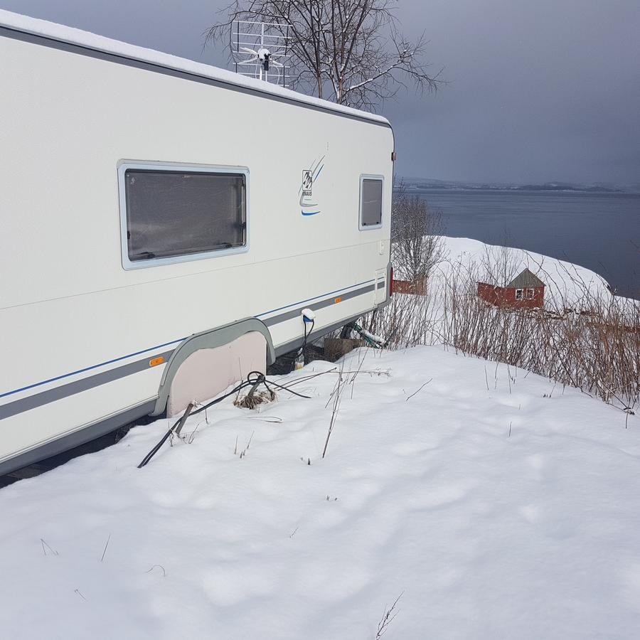 Camp Saltstraumen-Elvegard Otel Bodø Dış mekan fotoğraf