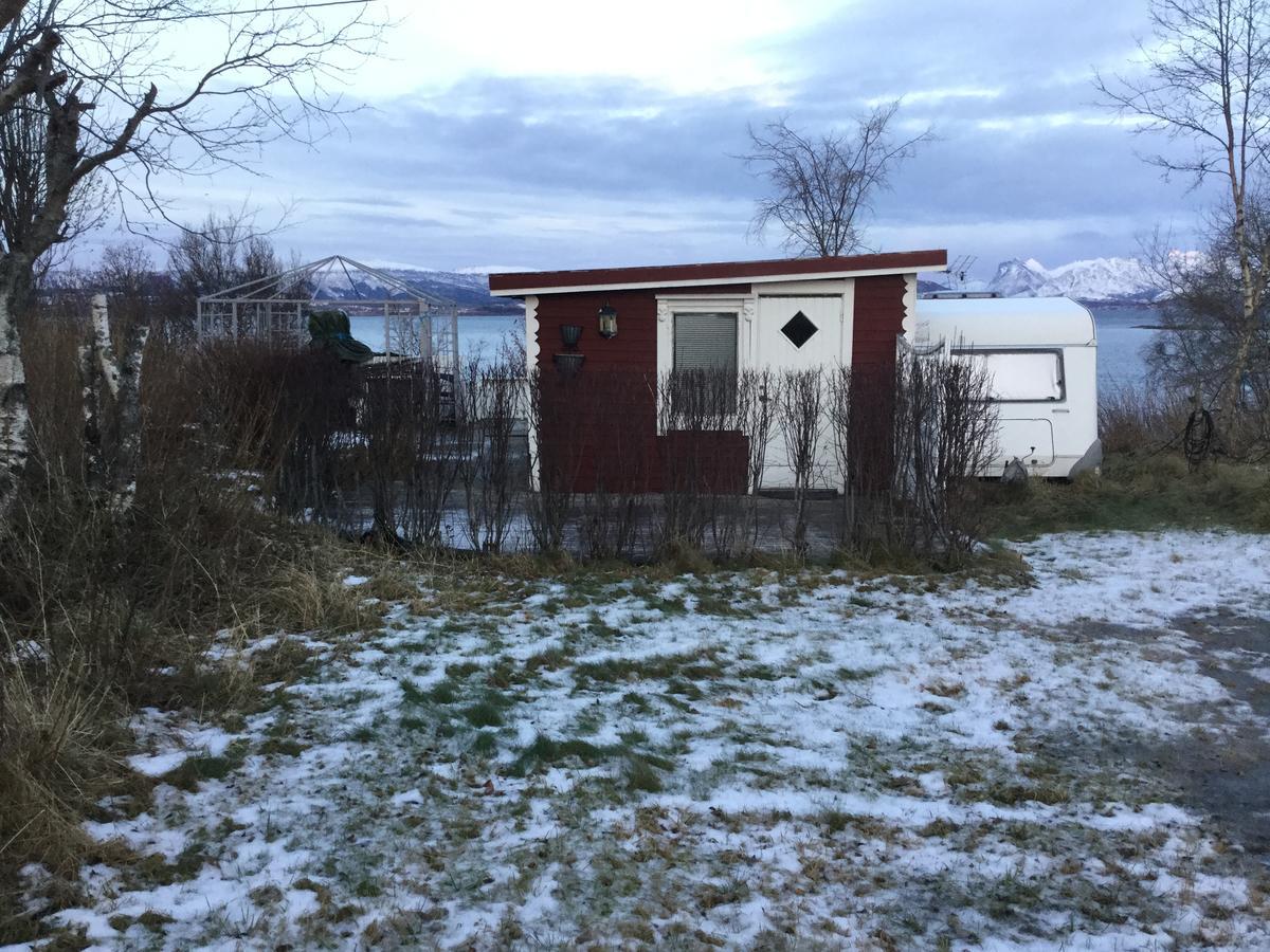 Camp Saltstraumen-Elvegard Otel Bodø Dış mekan fotoğraf
