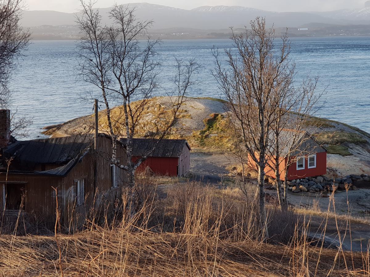 Camp Saltstraumen-Elvegard Otel Bodø Dış mekan fotoğraf