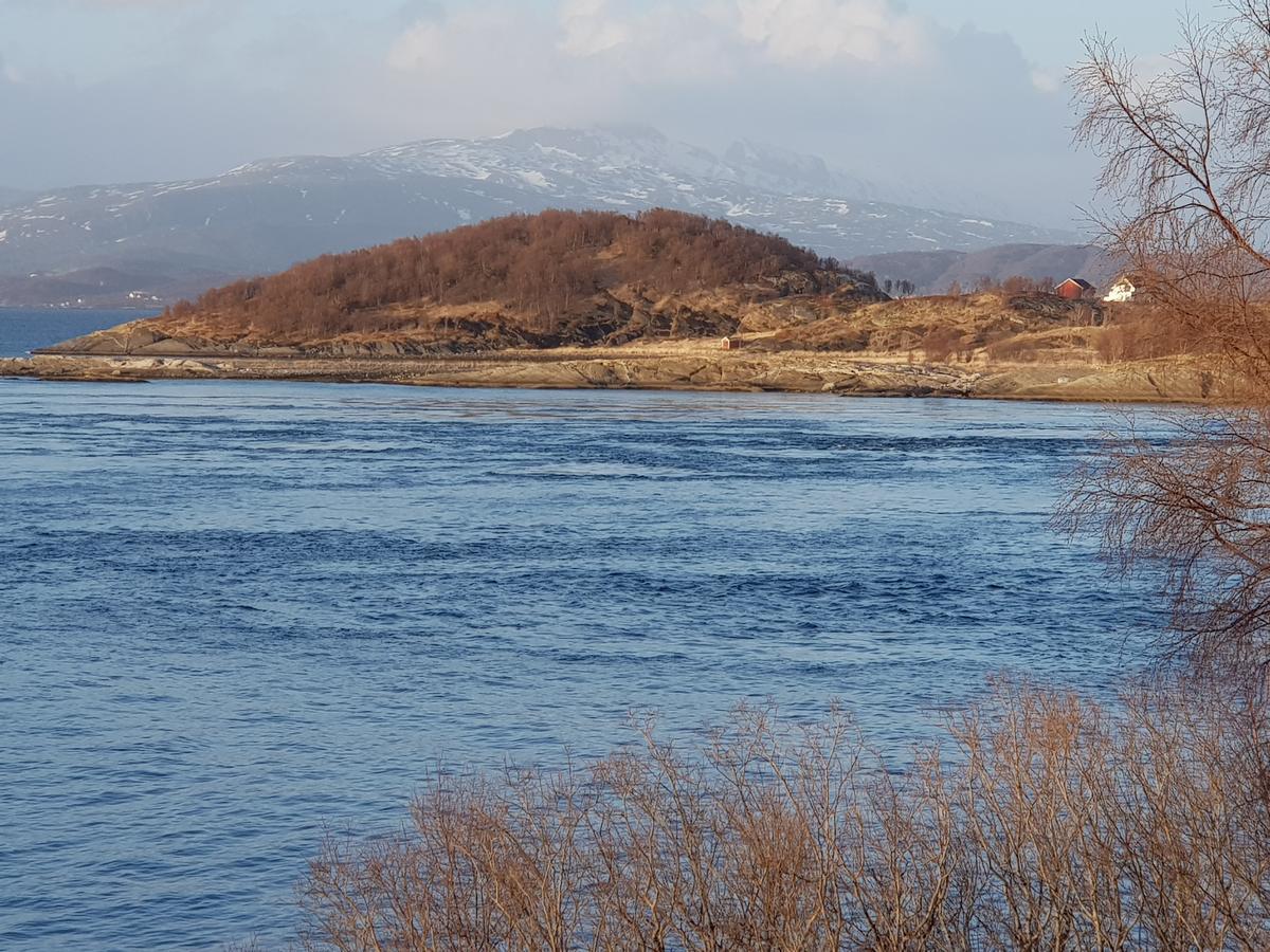 Camp Saltstraumen-Elvegard Otel Bodø Dış mekan fotoğraf