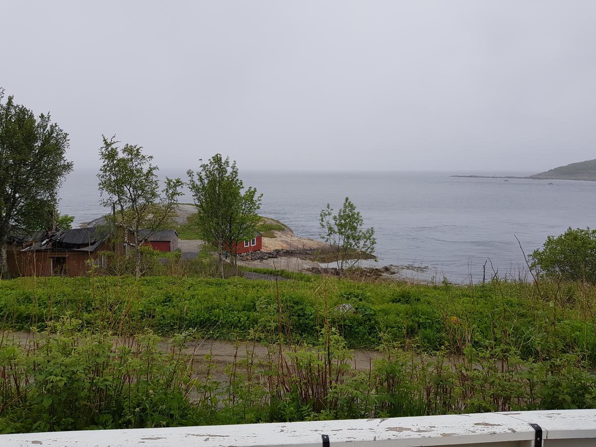 Camp Saltstraumen-Elvegard Otel Bodø Dış mekan fotoğraf